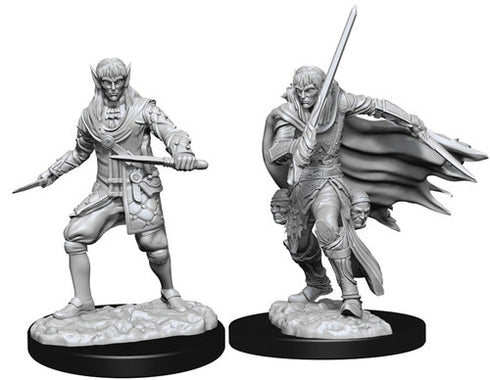 Pathfinder - Unpainted Male Elf Rogue